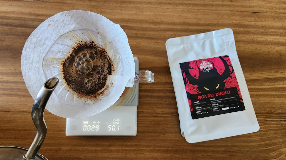 Técnica en V60 para Una Taza: Una Guía Paso a Paso