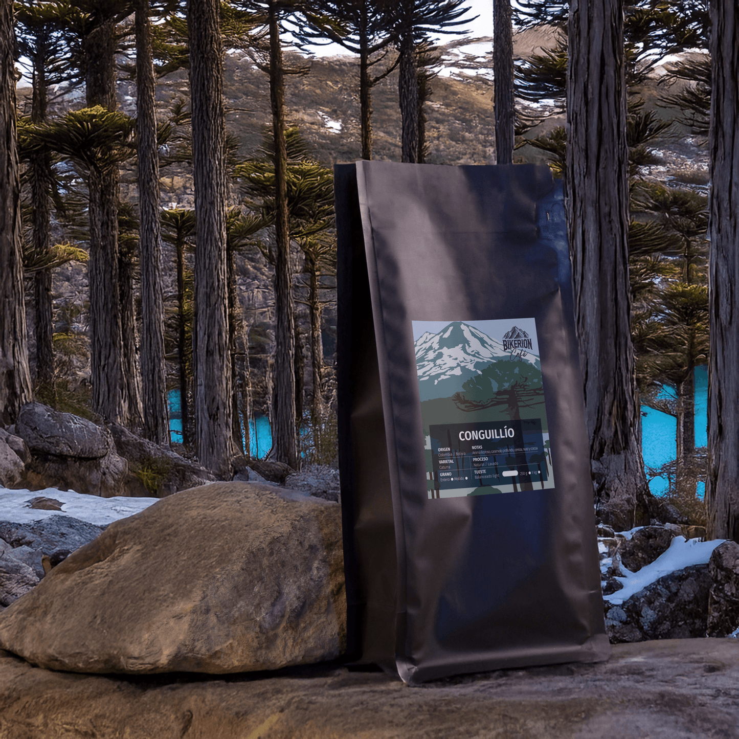 Blend Conguillio | Cafe en grano - Bikerion Café
